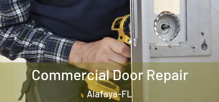  Commercial Door Repair Alafaya-FL