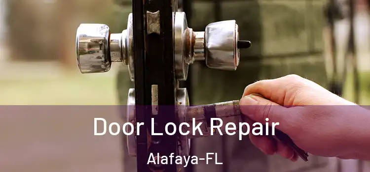  Door Lock Repair Alafaya-FL