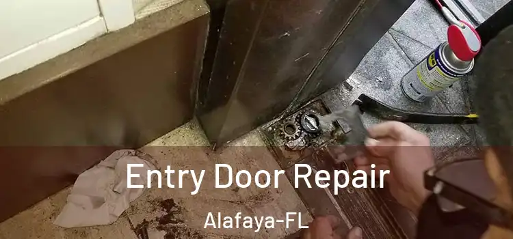  Entry Door Repair Alafaya-FL