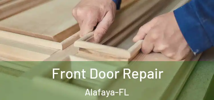  Front Door Repair Alafaya-FL