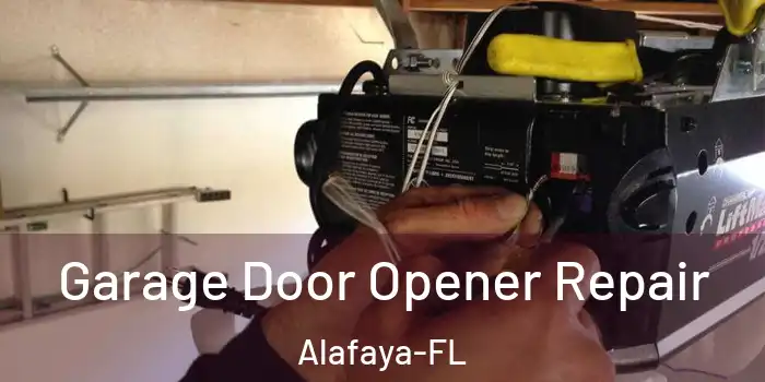  Garage Door Opener Repair Alafaya-FL