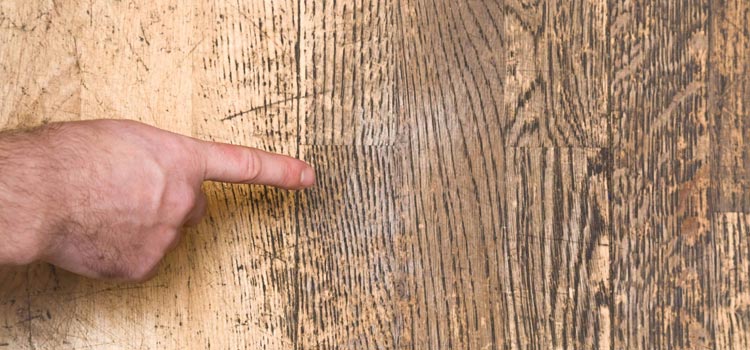 Wood Door Scratch Repair in Alafaya