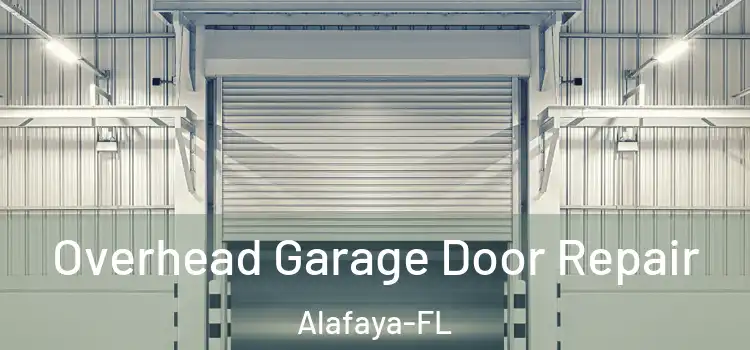 Overhead Garage Door Repair Alafaya-FL