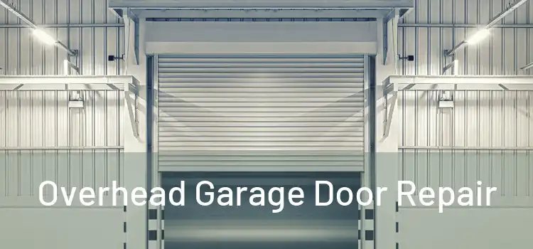  Overhead Garage Door Repair 