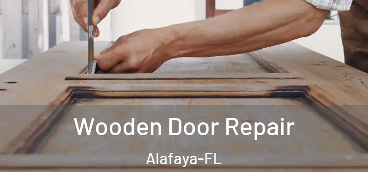  Wooden Door Repair Alafaya-FL